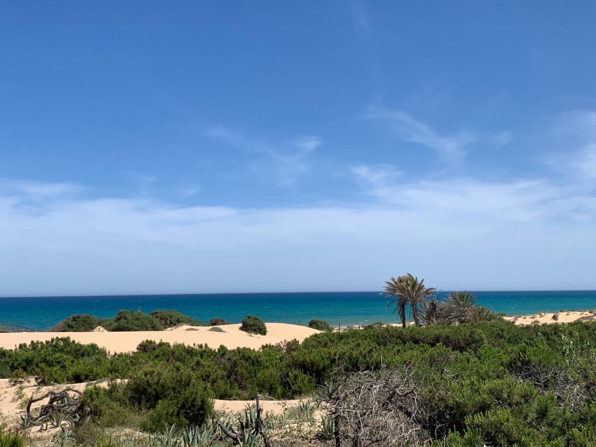 Guardamar Del Segura Sm- Spiaggia Moncayo - Piscina El Moncayo Eksteriør billede