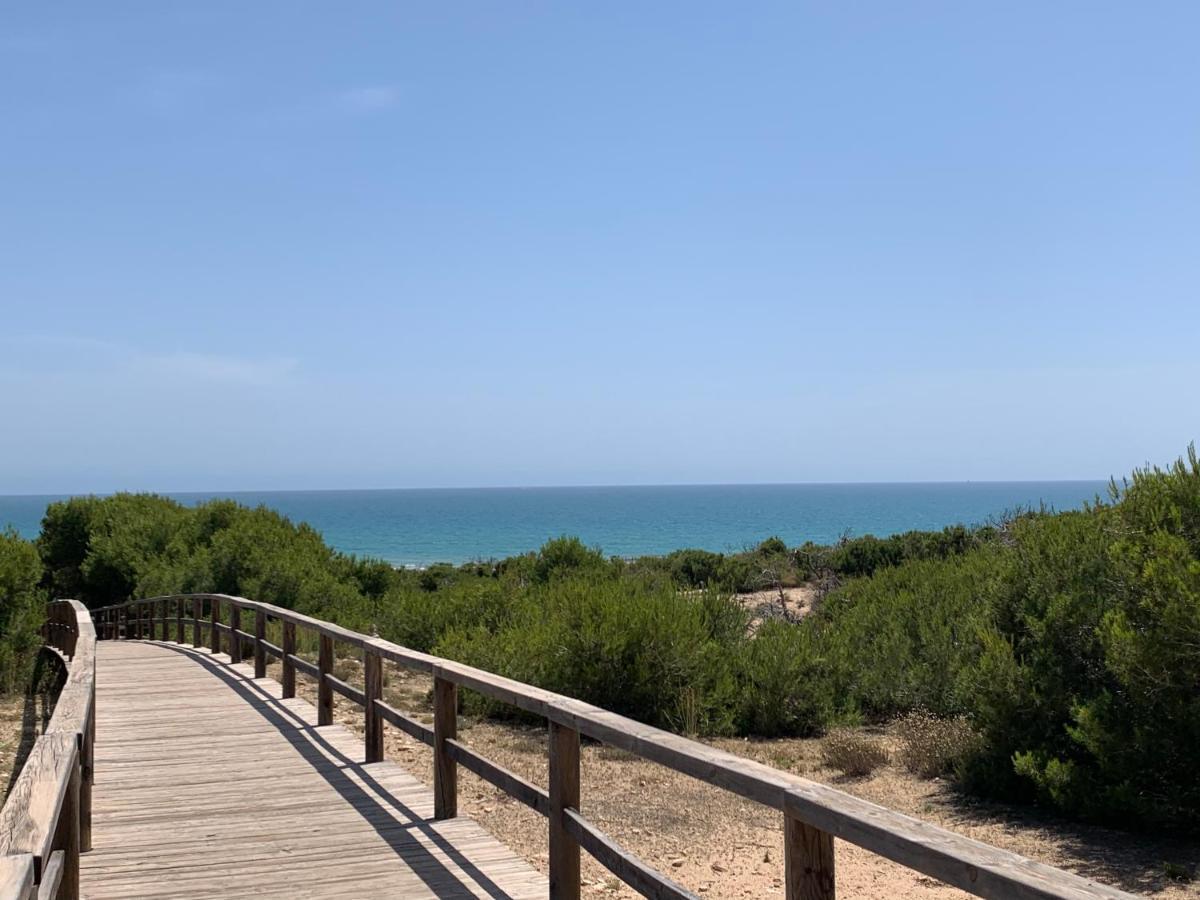 Guardamar Del Segura Sm- Spiaggia Moncayo - Piscina El Moncayo Eksteriør billede